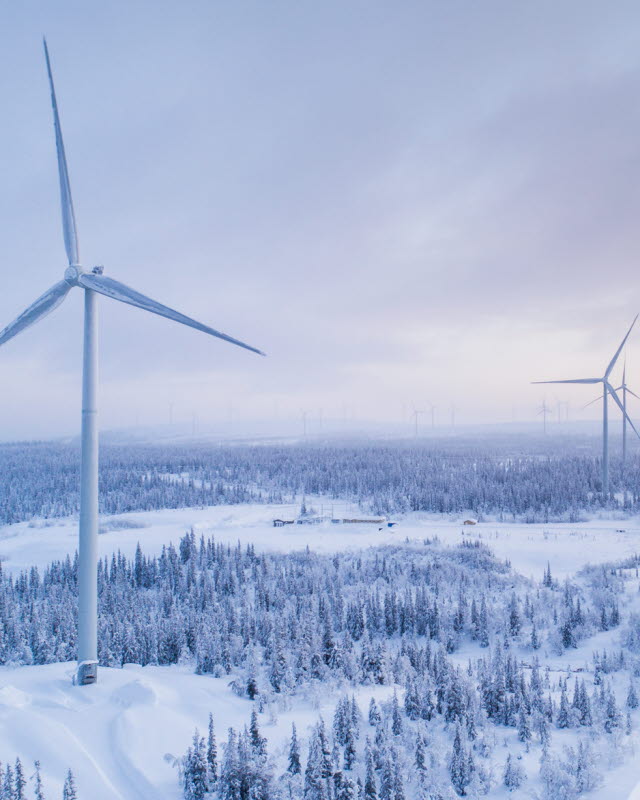 Vindkraftverk i vintrigt skogslandskap