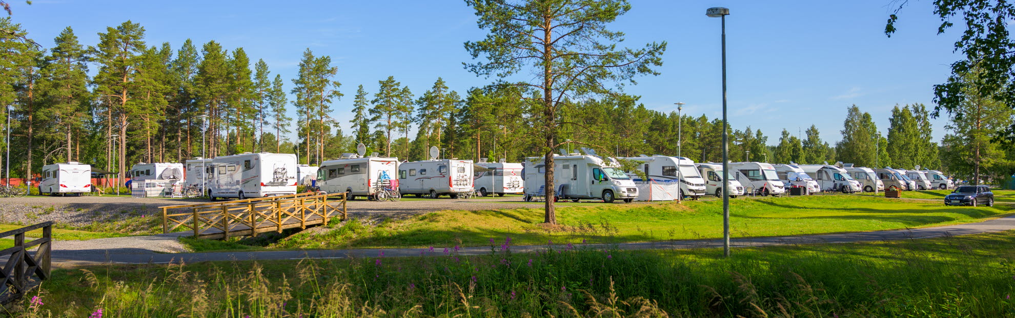 Husbilar står uppställda på en grönskande camping