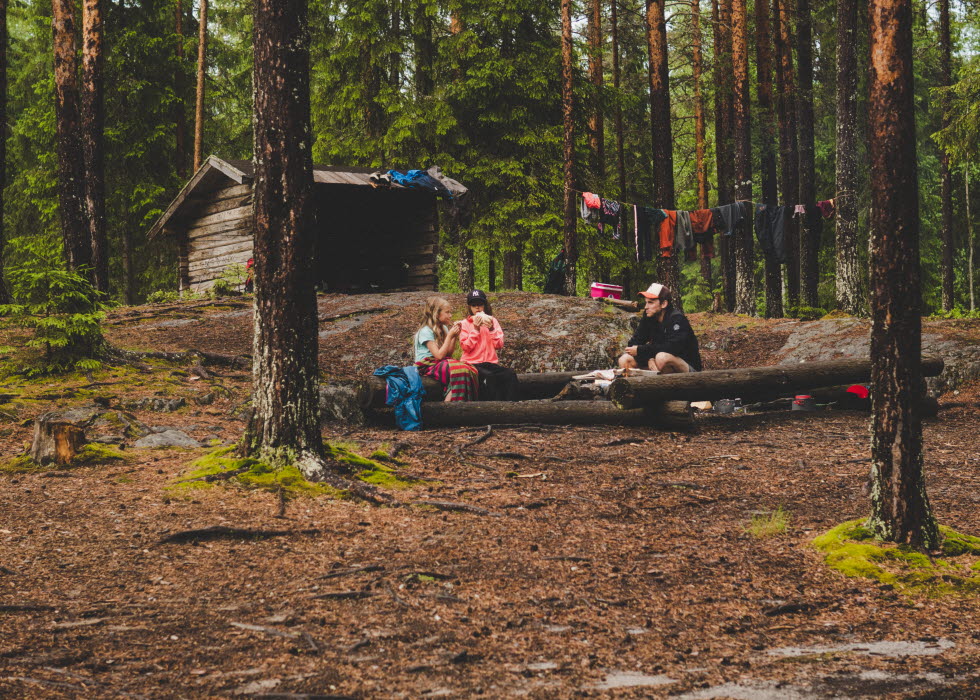 Picnic in the forrest