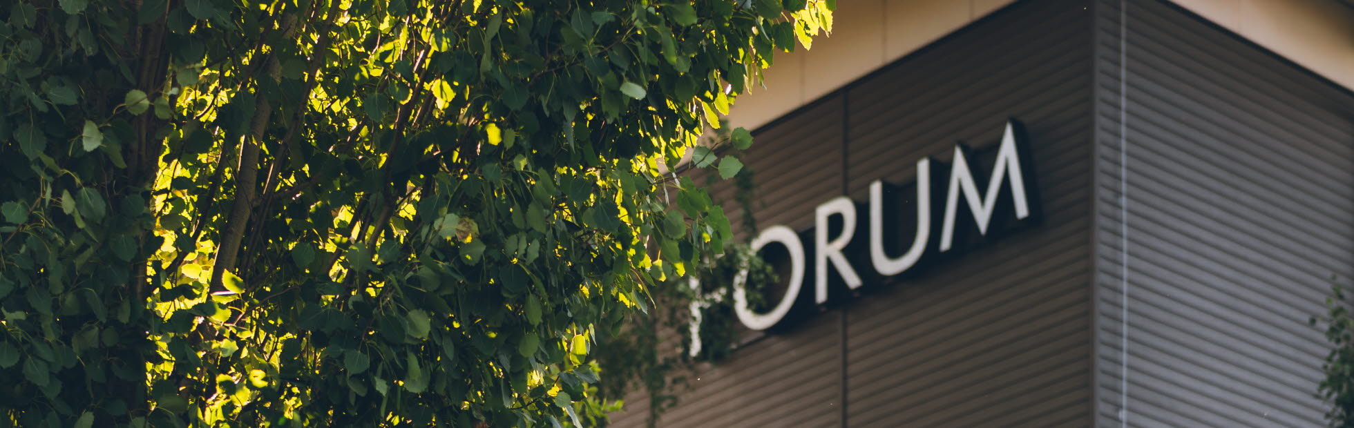 Exteriörbild på Forumhuset med ett träd i förgrunden
