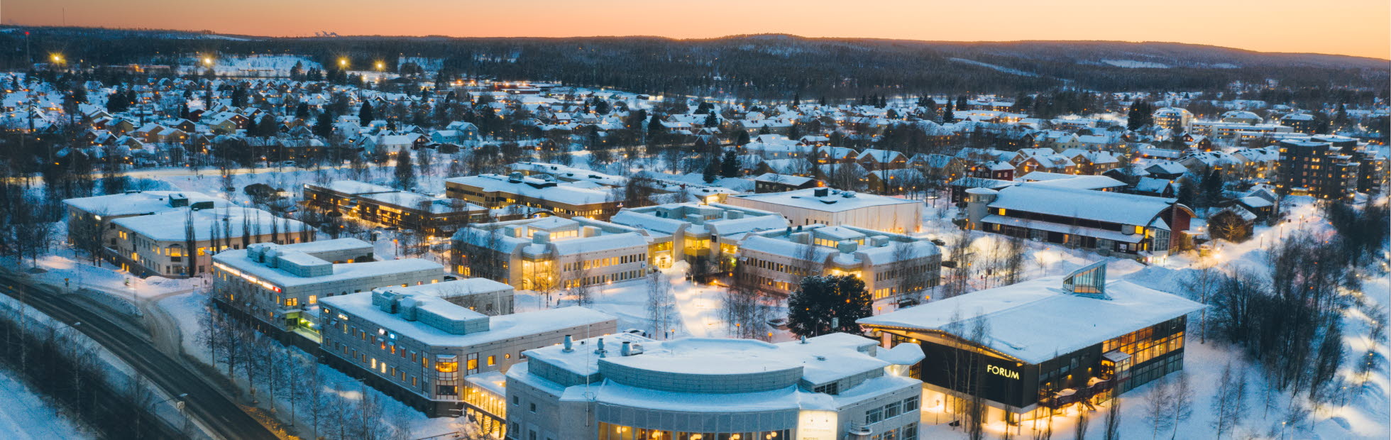 Organisation - Skellefteå Kommun